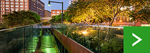 Ladscape, tree anchoring and irrigation services